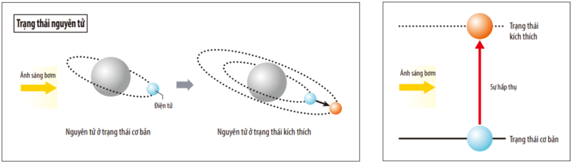 Sự kích từ